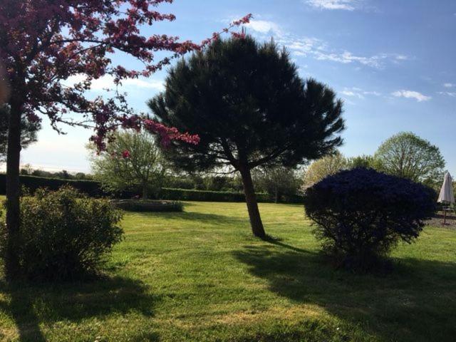 Le Clos Saint Jean Dragey エクステリア 写真
